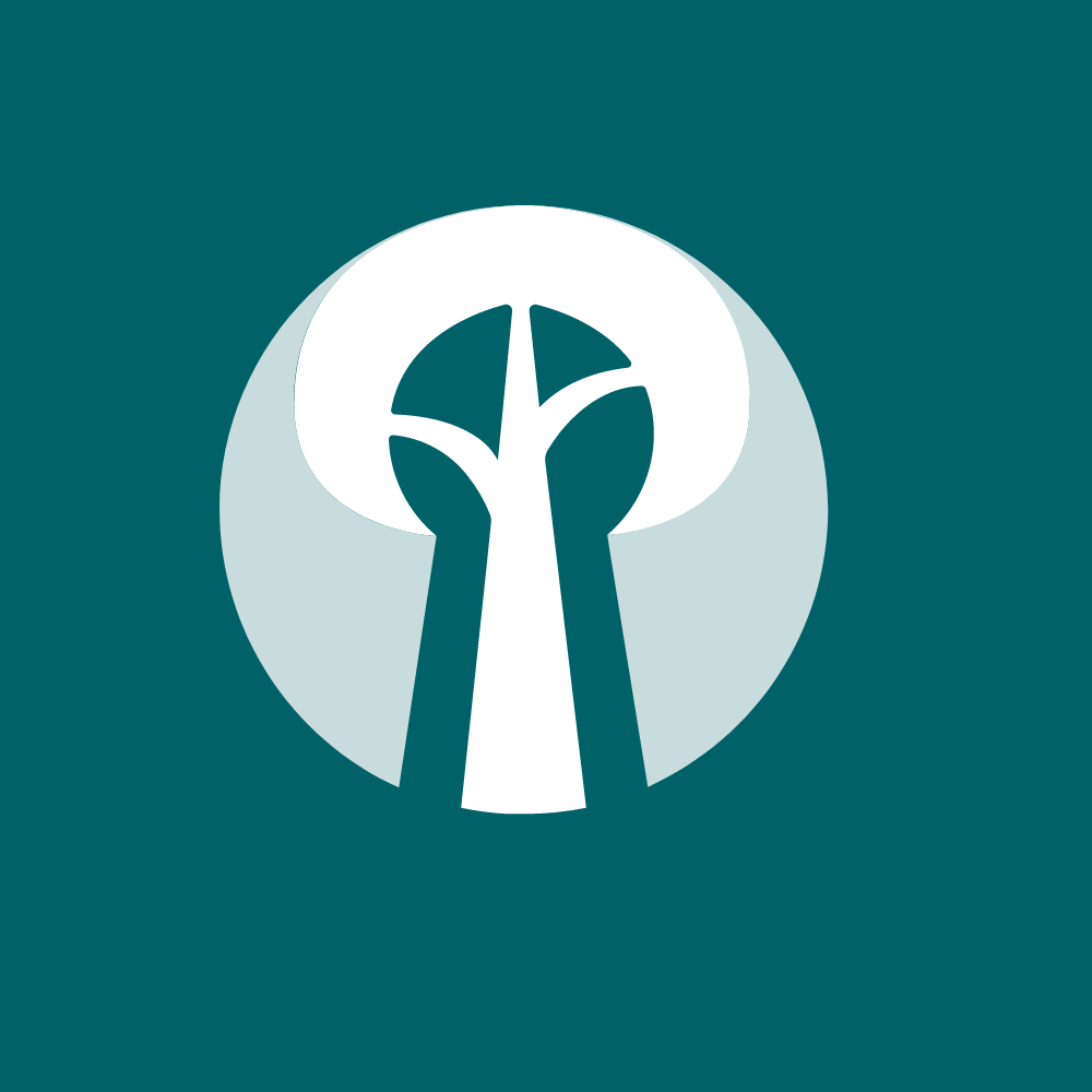Tree App im Wandel – Refactoring für die Zukunft des Waldes Cover